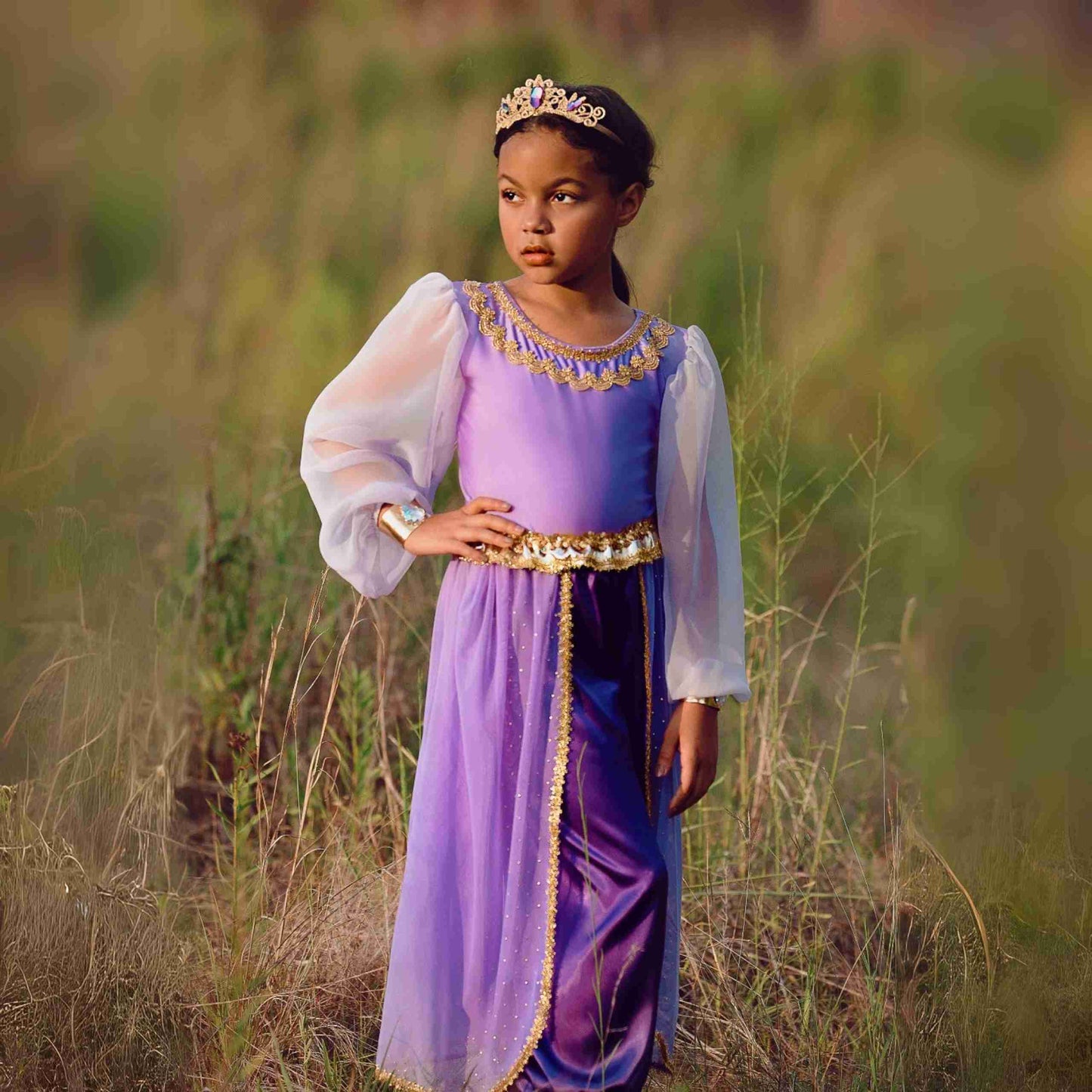 Swoon Arabian Princess Costume, Purple