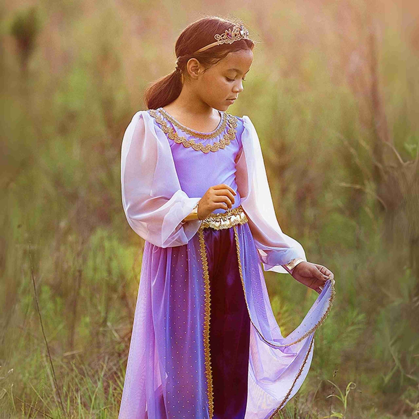 Swoon Arabian Princess Costume, Purple