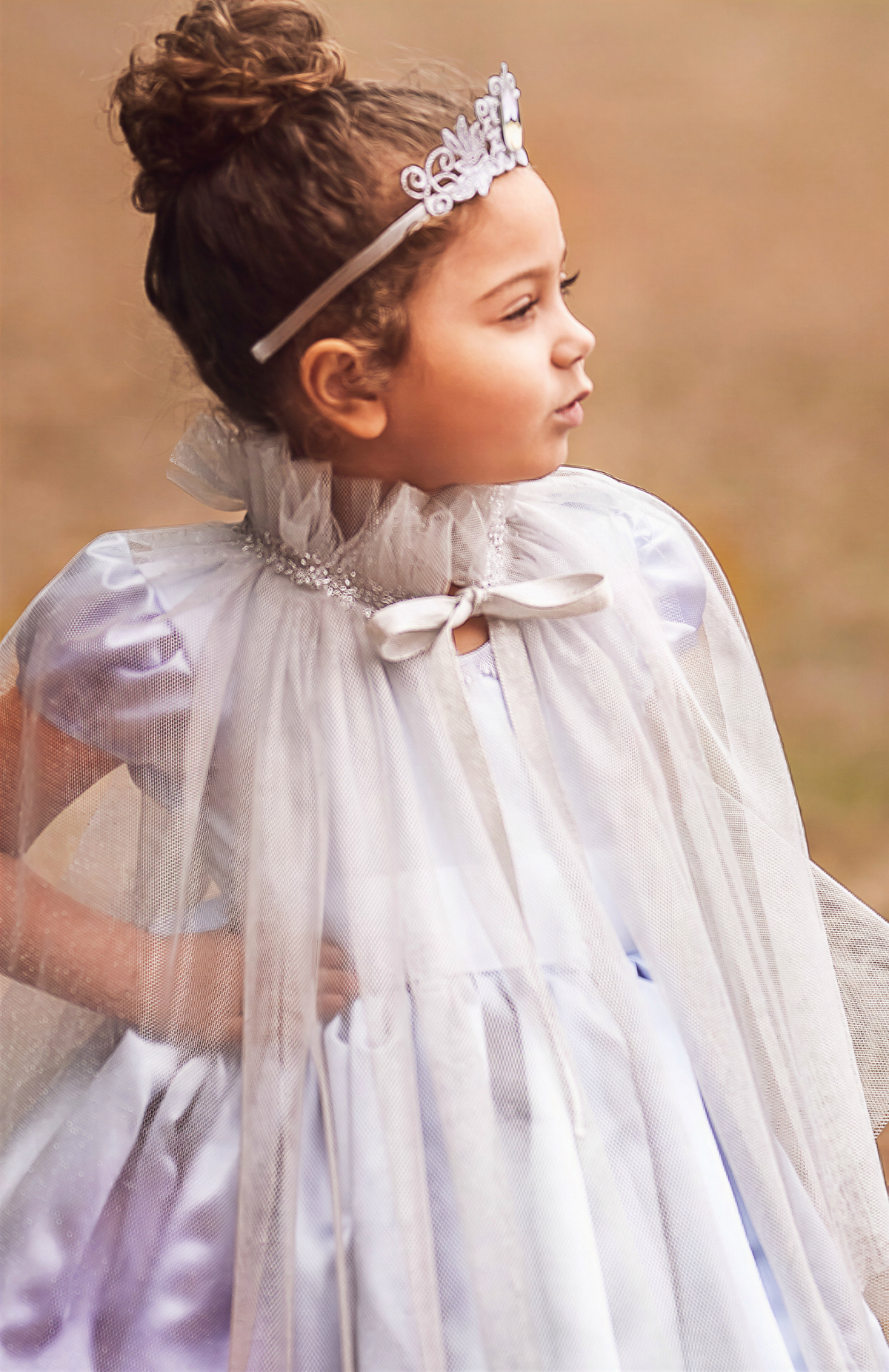 Princess Dresses Outfits - Princess In-a-Box - Mirror Mirror Silver