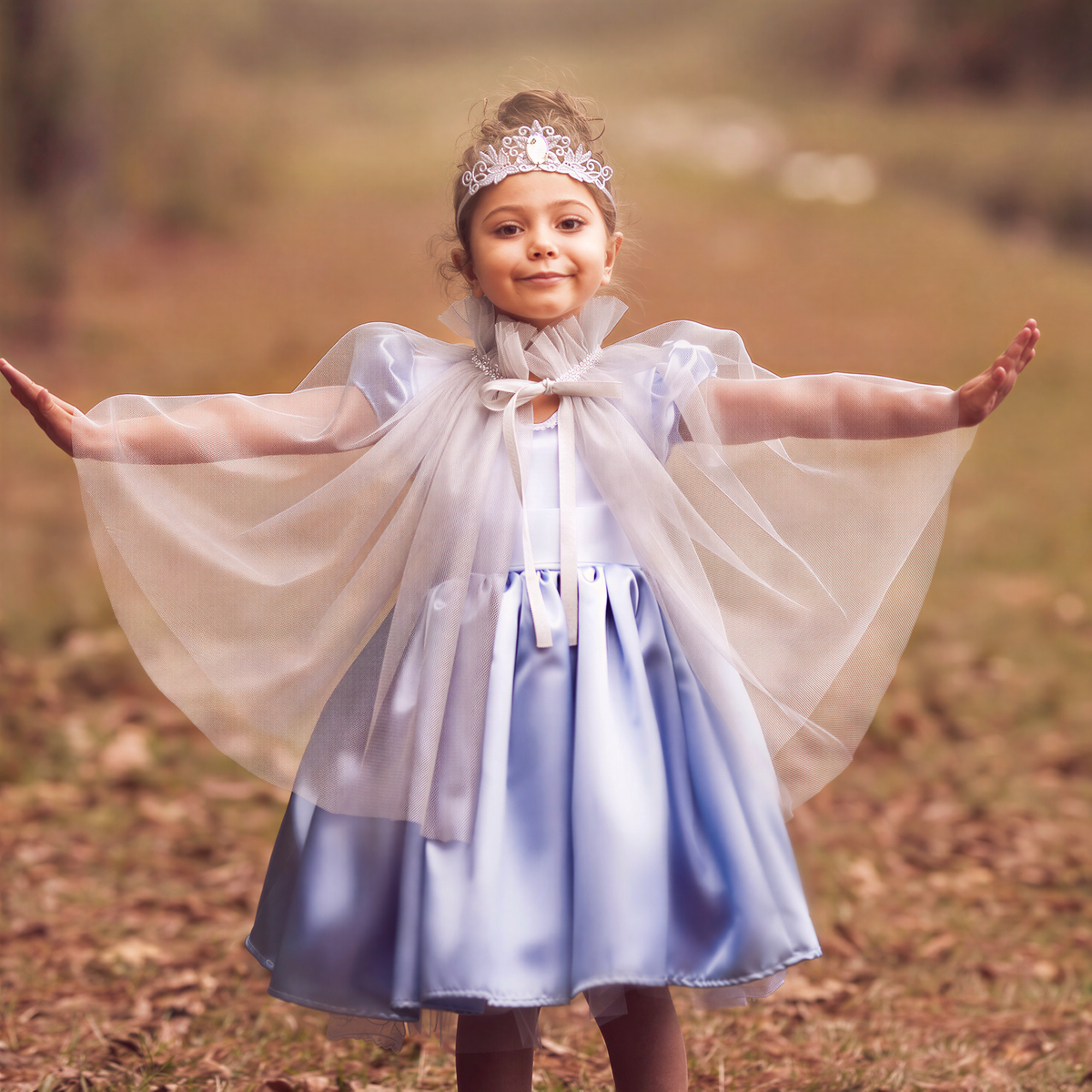 Princess Dresses Outfits - Princess In-a-Box - Mirror Mirror Silver