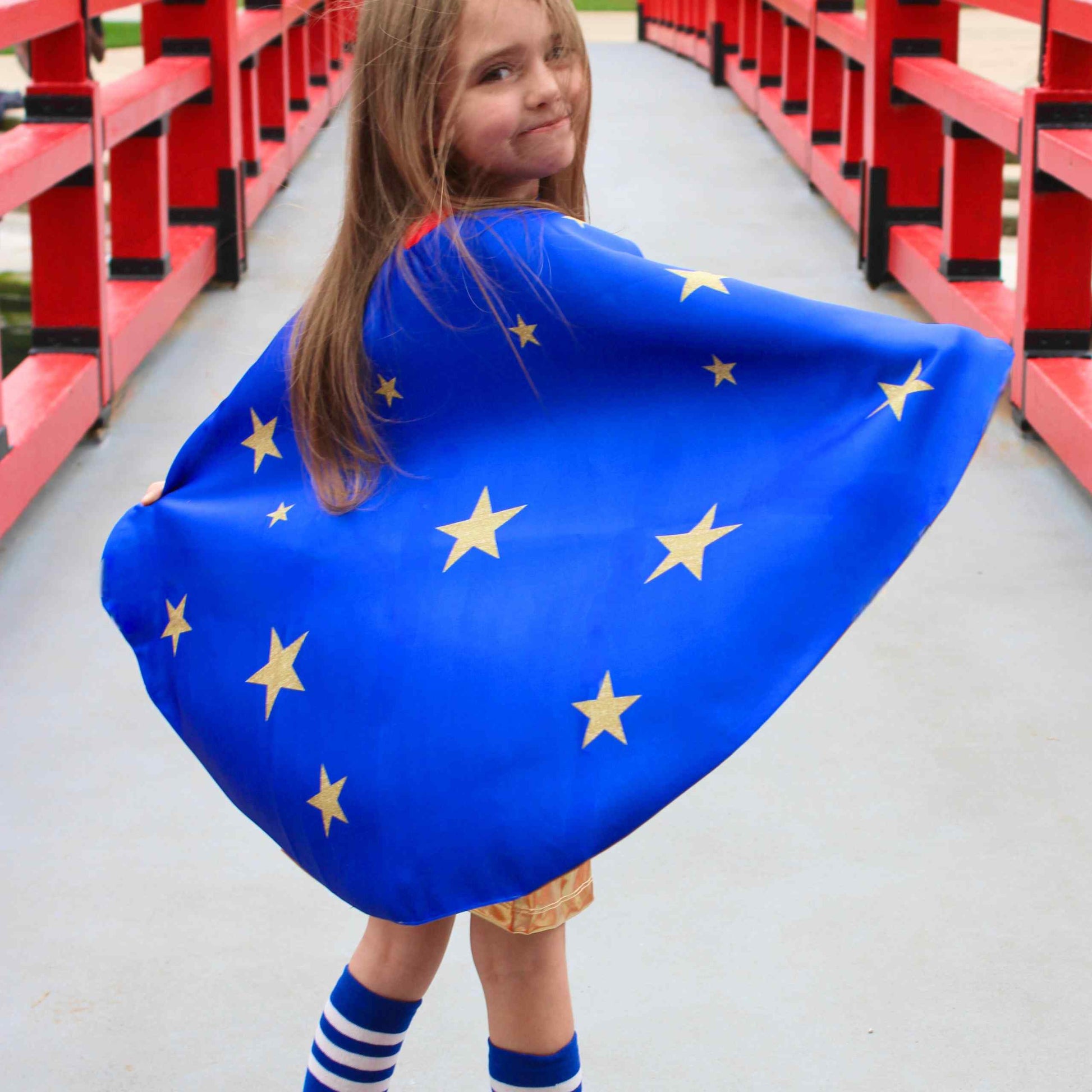a little girl holding a blue and gold flag