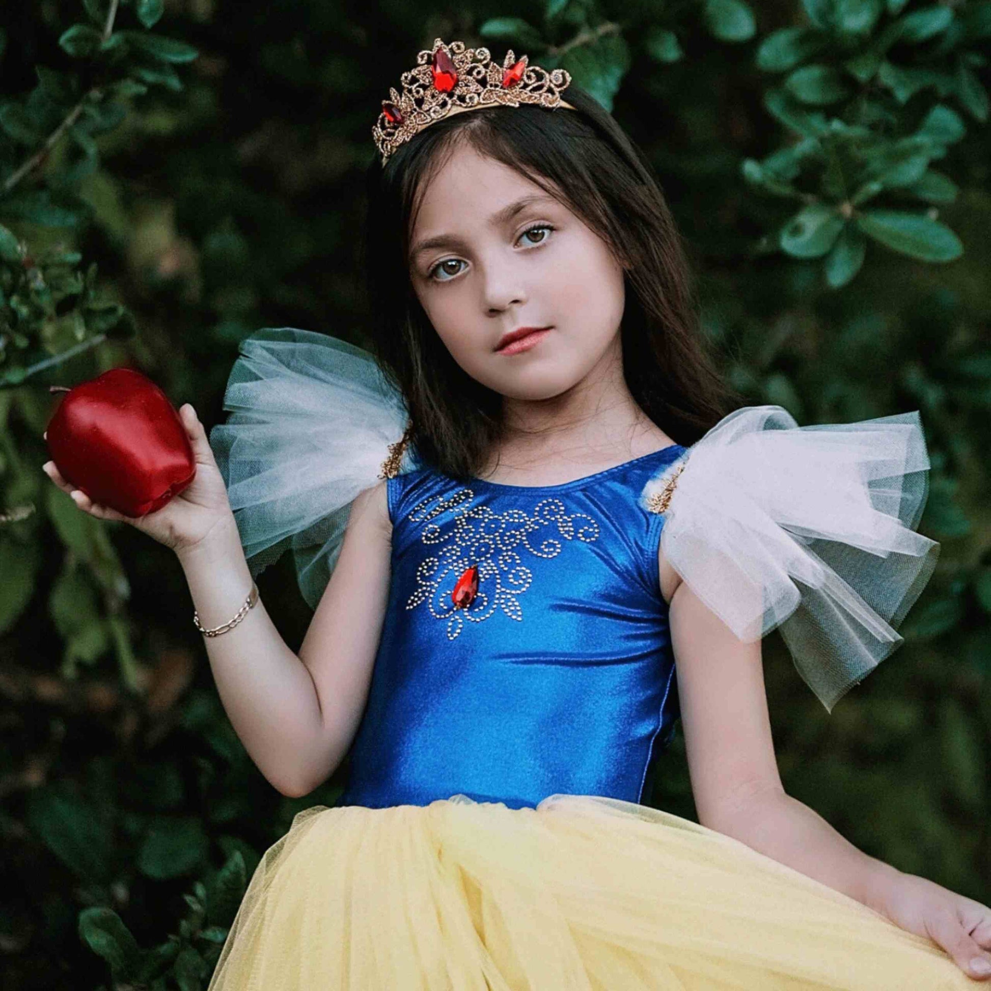princess crown and dress Ice Princess Girls Costume Dress